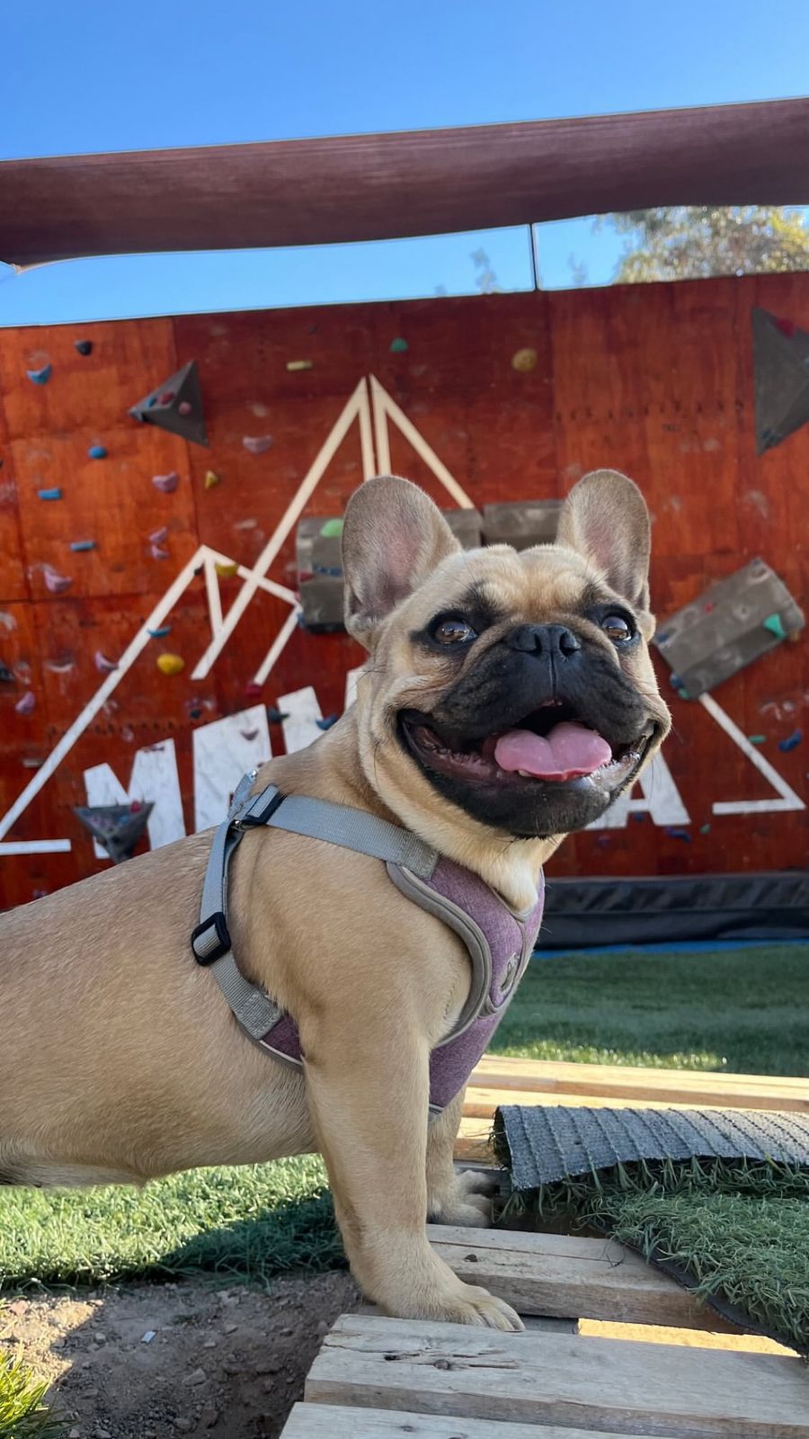 project-01-c whatsapp-image-2025-11-26-at-022557-1